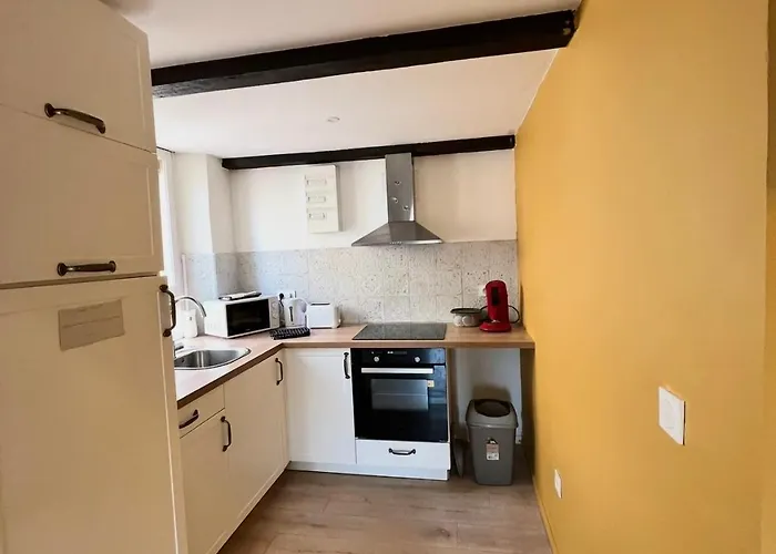 T4 Proche Centre Et Stade De Rugby 公寓 *