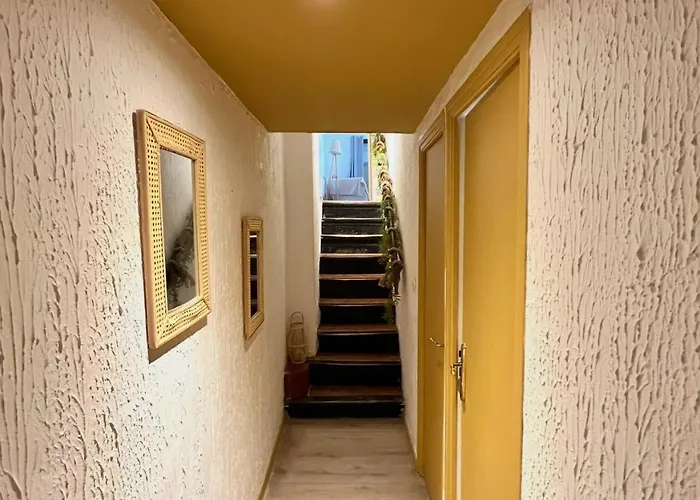 公寓 T4 Proche Centre Et Stade De Rugby 佩皮尼昂