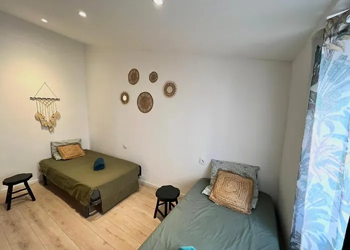 T4 Proche Centre Et Stade De Rugby * 佩皮尼昂